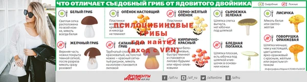 бошки Инта