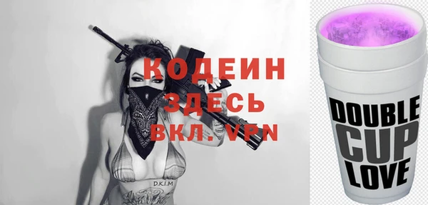 бошки Инта