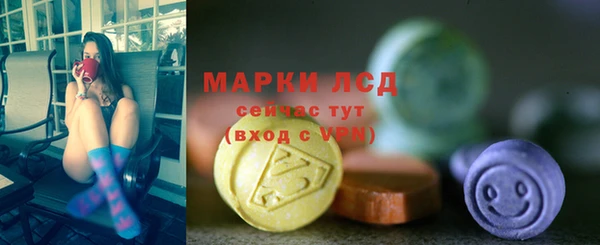 бошки Инта