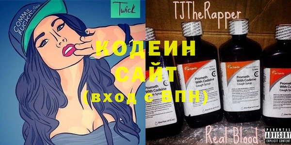 бошки Инта