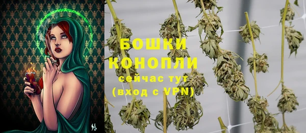 бошки Инта