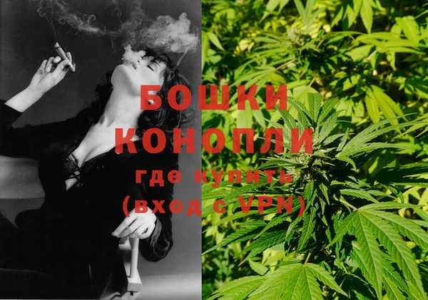 бошки Инта