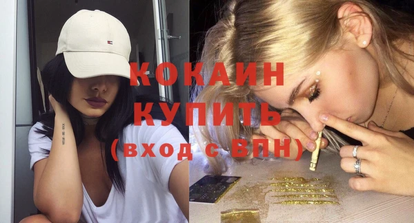 кокс Инсар