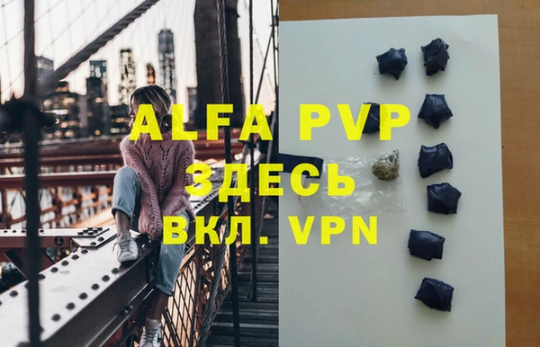 бошки Инта