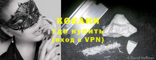 кокс Инсар