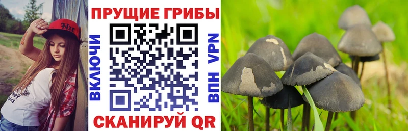 Галлюциногенные грибы мухоморы  Шелехов 