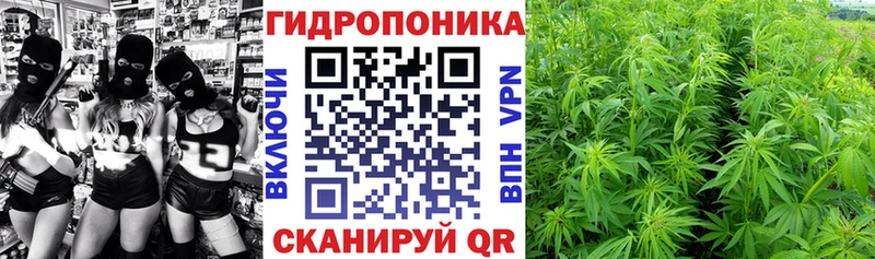 купить закладку  Шелехов  Конопля Amnesia 